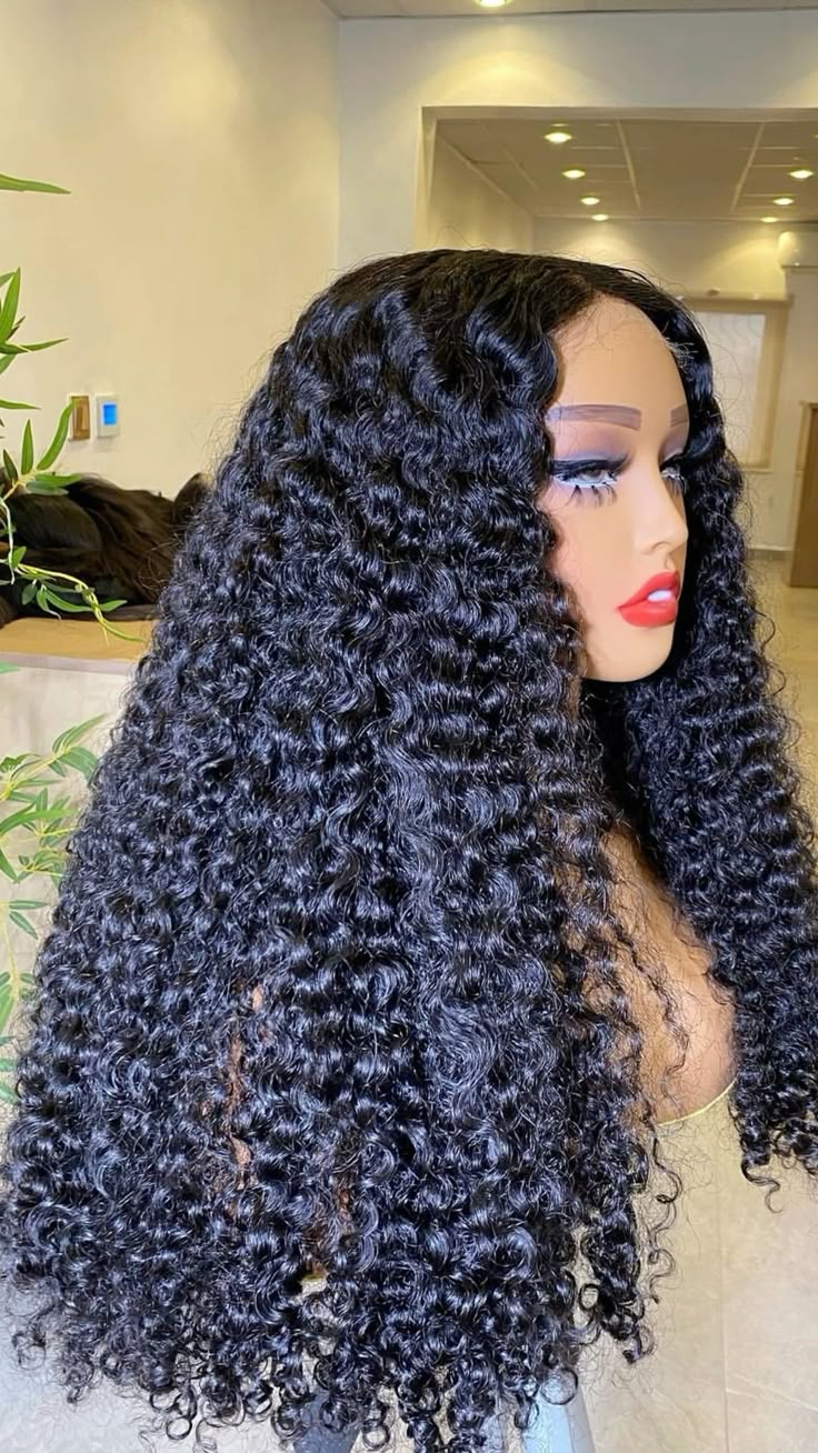 MsDeein Hair Burmese Curl 230% Density 13X4 Wig (Black)